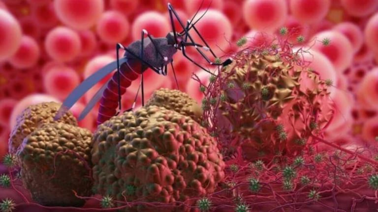 Save Yourself from Dengue Virus